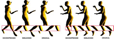 Image result for 21 Frame Animation