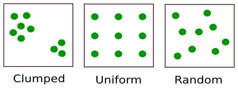 Afbeeldingsresultaten voor Distribution Patterns Uniform Random Clumped Dot Plot