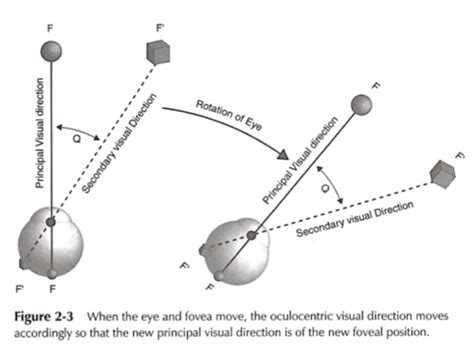 Image result for Visual Contrast Direction