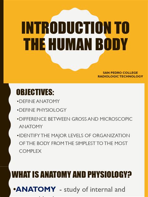 Image result for Human Body Introduction