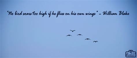 Image result for Soar High Theme