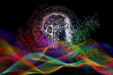 Image result for Machine Learning Brain