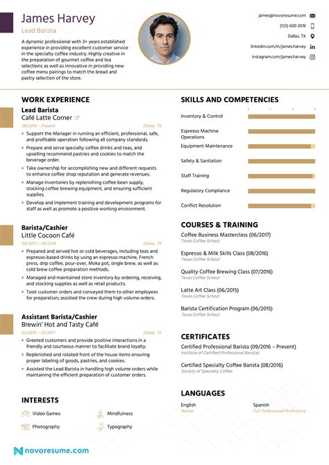 Image result for CV Curriculum Vitae Examples