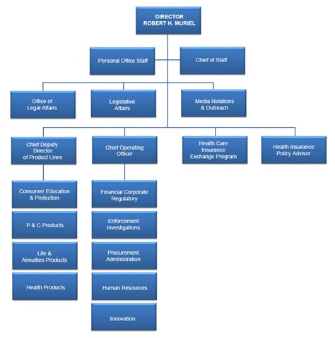 Image result for Insurance Company Structure Chart