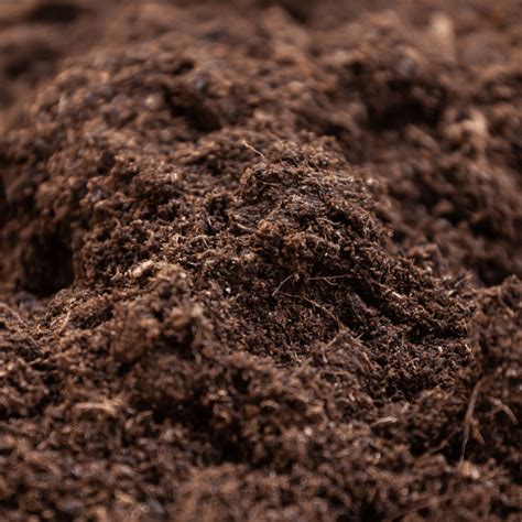 Image result for Humus Rich Compost