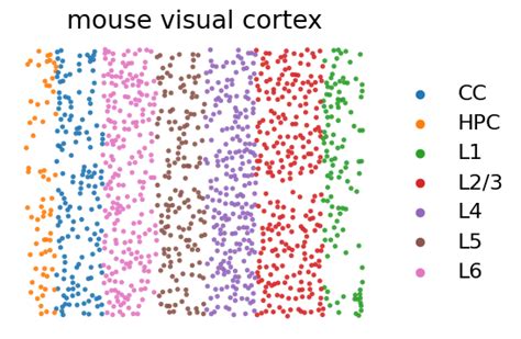 Afbeeldingsresultaten voor Mouse Visual Cortex Saggittal