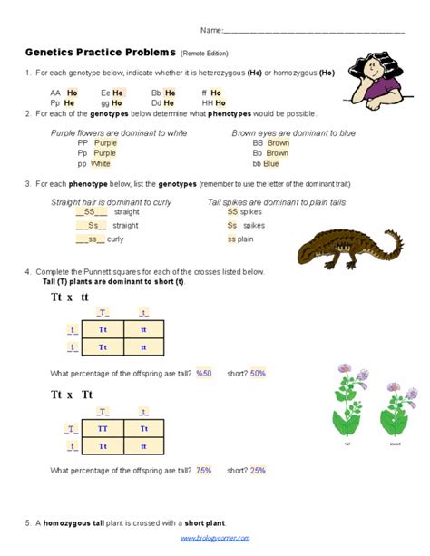 Image result for Genetics Practice Problems Worksheet Answer Key