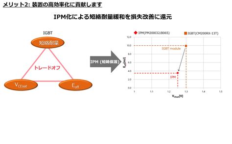 Essential IPM に対する画像結果