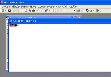 SQL Open Page に対する画像結果
