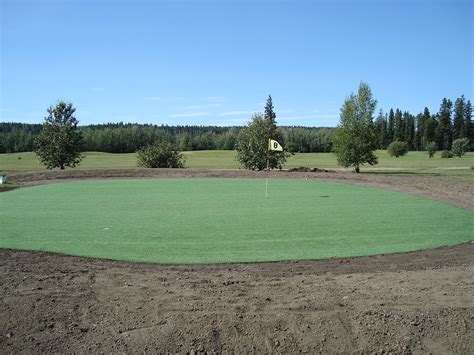 Image result for Home Turf Golf