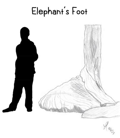 Image result for Elephant Foot Drawing Realisitc