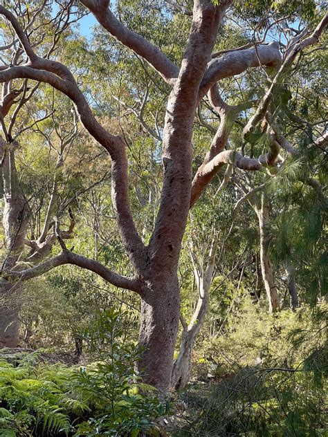 Toradh íomhá ar Is HashMap Passed by Reference in Python