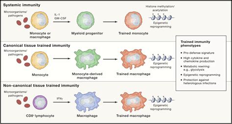Memory Cell എന്നതിനുള്ള ഇമേജ് ഫലം