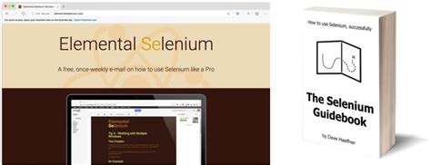 Selenium Guide Book എന്നതിനുള്ള ഇമേജ് ഫലം