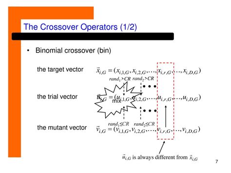 Binomial Vector に対する画像結果