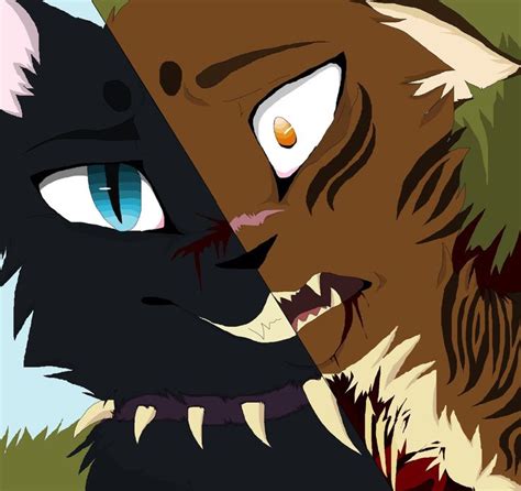 Image result for Splinter Warrior Cats