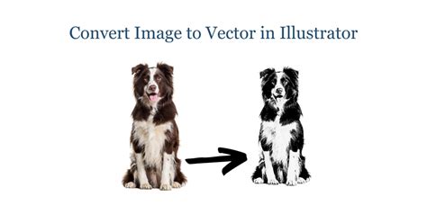Image result for Convert Image to Vector Free Download