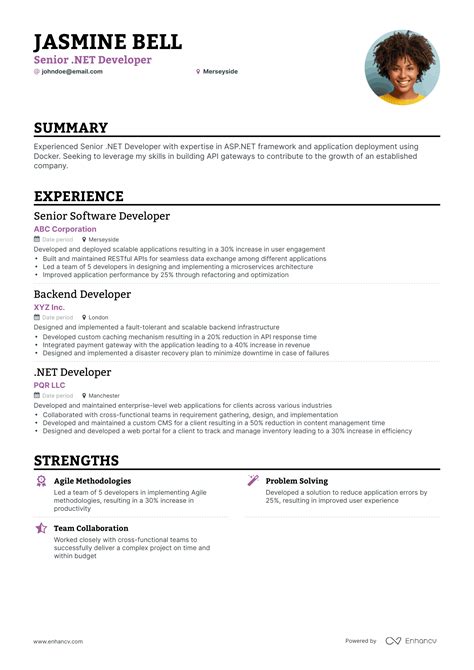Senior Developer Resume Examples に対する画像結果