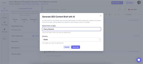 Toradh íomhá ar Blog/Article Topics