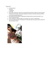 Image result for Lab 10 Cell Structure