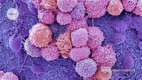 Image result for Biocomputer