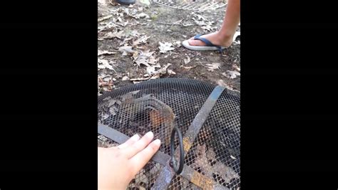 Image result for Finding Alvin Drop Off