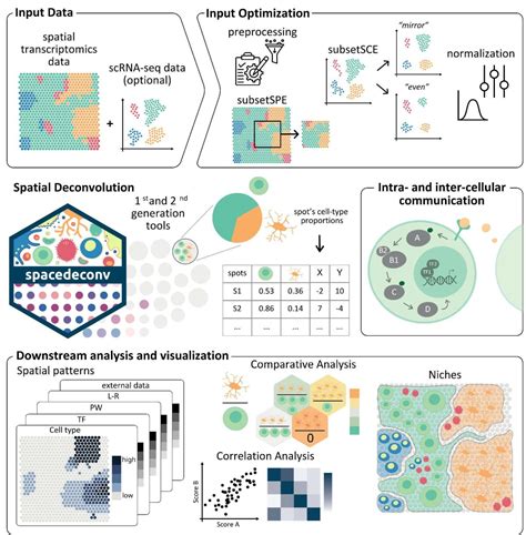 Image result for Cosmic Tissu Microarray Spatial