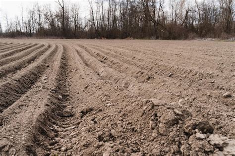 Image result for Planting a Farm Field Steps