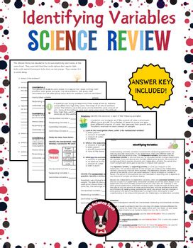 Image result for Identifying Variables Worksheet Answers