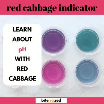 Toradh íomhá ar Making Red Cabbage Indicator