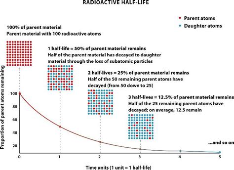 Image result for Logarithmic Function Wave for Half Life