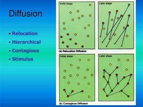 Image result for Examples for Stimulus Diffusion