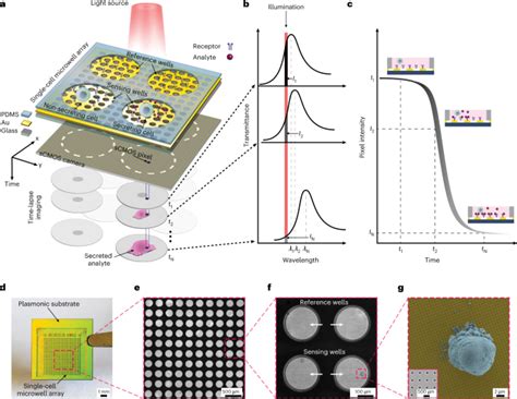Afbeeldingsresultaten voor Array Nature Method