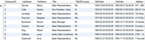 Toradh íomhá ar Employee Table Columns