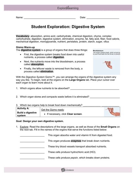 Digestive System Basic Diagram Answer Key に対する画像結果