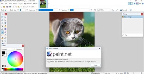 Image result for Paint.NET Brush Plugins