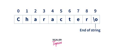 Image result for Character Array String