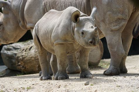 Rhino Architecture Rendering に対する画像結果