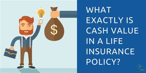 Image result for Cash Value Life Insurance