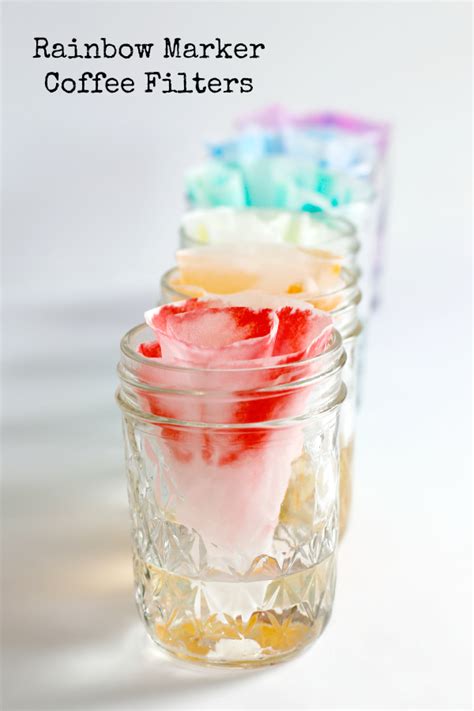 Afbeeldingsresultaten voor Coffee Filter Dye Experiment