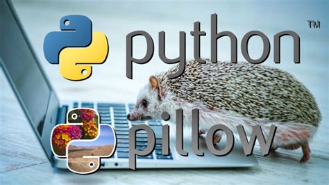 Python HD Pics に対する画像結果