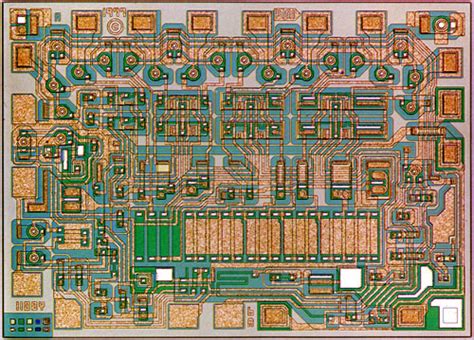 Image result for Microchip Evolution