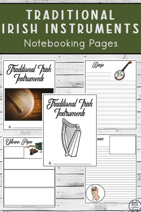 Toradh íomhá ar Traditional Irish Music Instruments