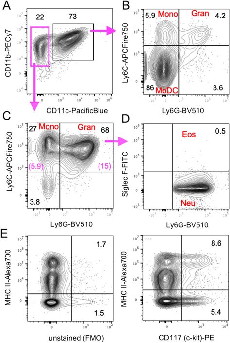 Image result for Mouse DC Microscope