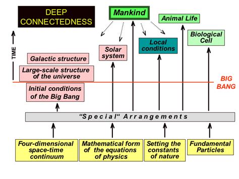 Universe Fine-Tuning に対する画像結果