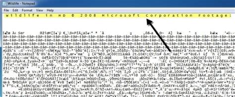 Image result for Open Dat File:Windows 11