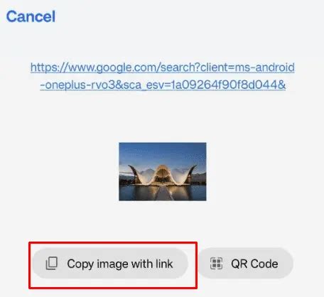 Image Url に対する画像結果