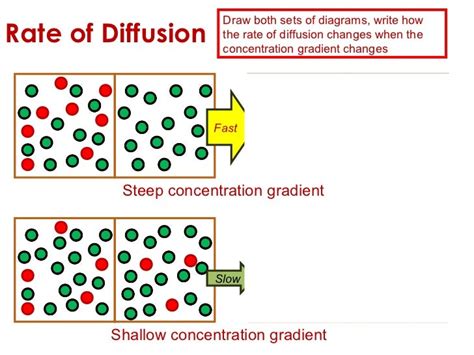 Image result for Diffusion Example
