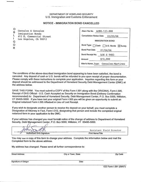 Image result for Immigration Form I-391