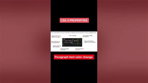 Toradh íomhá ar How to Change Oaragraph Position and Color HTML